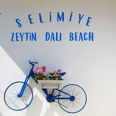 Zeytin Dali Butik Otel 塞利米耶 外观 照片
