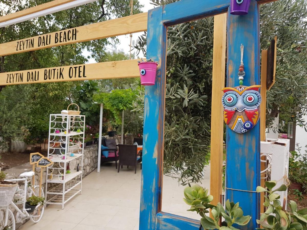 Zeytin Dali Butik Otel 塞利米耶 外观 照片