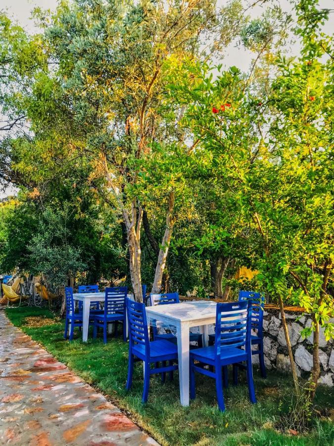 Zeytin Dali Butik Otel 塞利米耶 外观 照片