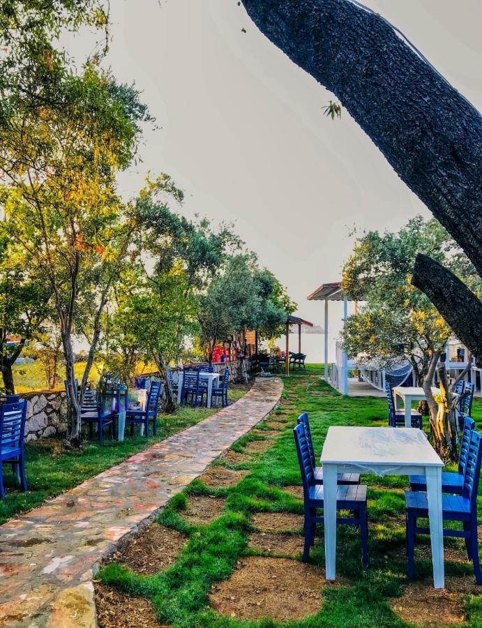 Zeytin Dali Butik Otel 塞利米耶 外观 照片